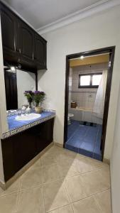 y baño con aseo, lavabo y ducha. en Apartamento Maracuyá en Tarija, en Tarija