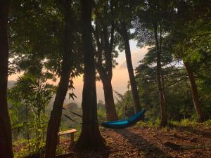 Φυσικό τοπίο κοντά σε αυτό το hostel