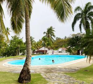 una palmera y una piscina con gente en ella en Villa Vacacional, Playa Pascual, en Santa Bárbara de Samaná