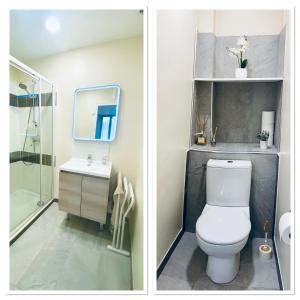 two pictures of a bathroom with a toilet and a sink at Appartement indépendant avec jardin in Saint-Clément