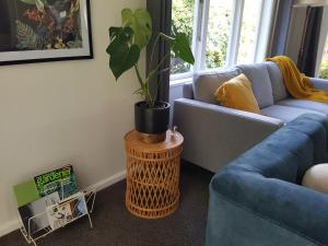 uma sala de estar com um sofá azul e um vaso de plantas em Rainbow Gate Cottage em Napier
