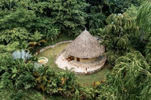 an aerial view of a small building in a forest at ONE Santuario Hotel y Reserva Natural in Palomino