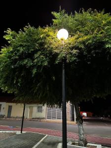 a street light on a pole with a tree at Casa Parque nacional Serra da capivara in Coronel José Diaz