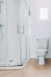 uma casa de banho com um WC e uma cabina de duche em vidro. em Rijk aan Zee Ecolodges em Wijk aan Zee