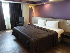 a hotel room with a large bed and a window at Hotel Max in Mexico City