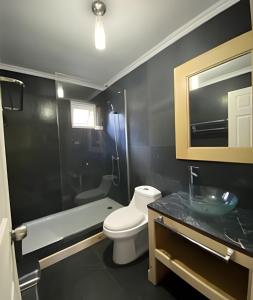 uma casa de banho com um WC, um lavatório e um chuveiro em Casa Rural con opción de tina temperada em Puerto Varas