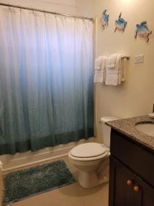 a bathroom with a shower curtain and a toilet at Island Hideaway in Falmouth