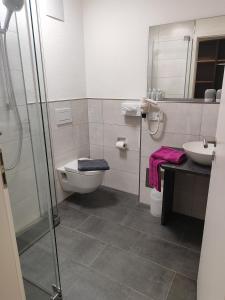 a bathroom with a toilet and a sink and a shower at Hotel Gästehaus Stock Zimmer Bäumle in Friedrichshafen