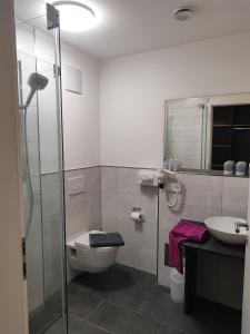 ein Bad mit einer Dusche, einem WC und einem Waschbecken in der Unterkunft Hotel Gästehaus Stock Zimmer Bäumle in Friedrichshafen