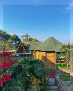 ein kleines Haus mit grünem Dach in einem Garten in der Unterkunft Hostal Camino Viejo in Líbano