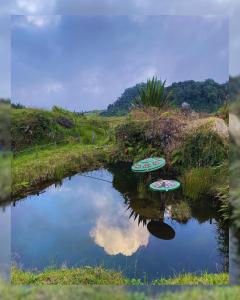 Paesaggio naturale nelle vicinanze dell'hotel
