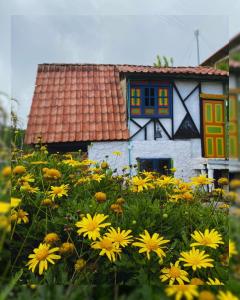 un champ de fleurs jaunes devant une maison dans l'établissement Hostal Camino Viejo, à Líbano