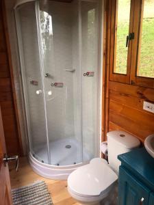 a shower in a bathroom with a toilet at Huna Glamping in Guatavita