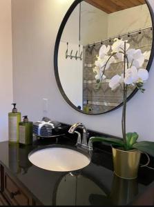 a bathroom sink with a mirror and a plant at ! 5 Bed Beautiful Home with Fenced Yard & Hammock! WEM - Foosball Table - WiFi - Fireplace - Long Stay in Edmonton