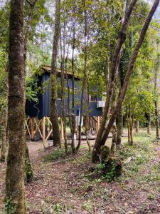 una casa en el bosque con árboles en Cabañas Los Glaciares, en Coñaripe