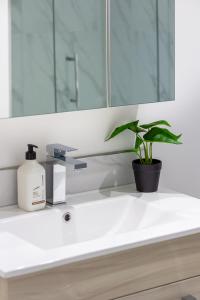 ein Waschbecken mit einer Flasche Seife und einer Pflanze in der Unterkunft Style meets comfort 2 Bed CHCH CBD in Christchurch