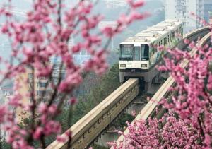 Galeri foto Wuyu Hotel Chongqing Zoo & Yangjiaping The Mixc Light rail di Chongqing