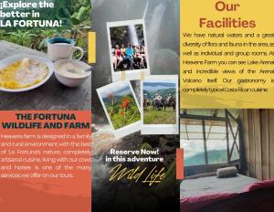 Fotografie z fotogalerie ubytování Finca Del Cielo v destinaci El Castillo de la Fortuna