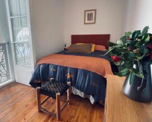 ア・コルーニャにあるLa Casa de María Pitaのベッドルーム1室(ベッド1台、椅子、鉢植えの植物付)