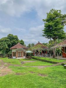 a house with a tree and a grass yard at Carla Garden Villa in Yogyakarta