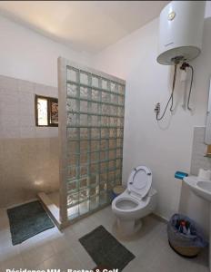 uma casa de banho com um WC e uma cabina de duche em vidro. em THE GOLF RESIDENCES YAOUNDE em Iaundé