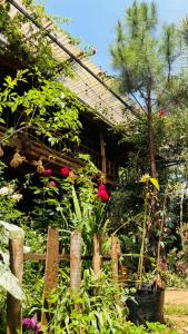 un jardin avec des fleurs en face d'une maison dans l'établissement Lily's Stone Garden, 
