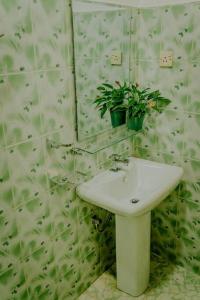 ein Badezimmer mit einem Waschbecken, einem Spiegel und einer Topfpflanze in der Unterkunft Lihini Villa ii in Matara
