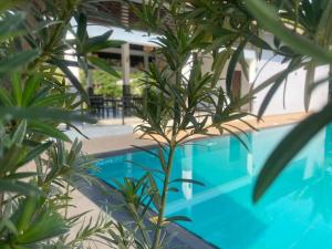 a blue swimming pool with trees in front of it at Lion Gate Hotel Sigiriya in Sigiriya