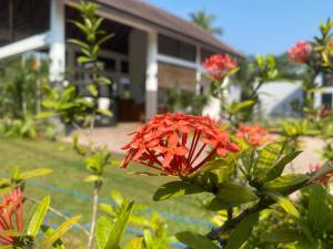 Giardino di Lion Gate Hotel Sigiriya