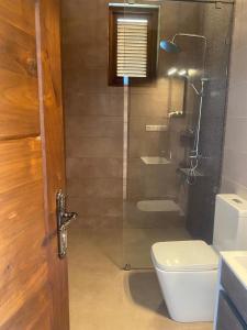 a bathroom with a glass shower with a toilet at Lion Gate Hotel Sigiriya in Sigiriya