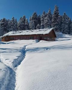 Roseland Cottage , Gulmarg ในช่วงฤดูหนาว