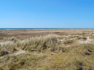 a field of grass with the ocean in the background at 4 person holiday home in Fan in Fanø