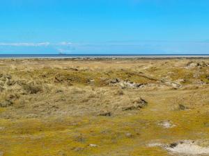 un campo de hierba con el océano en el fondo en 4 person holiday home in Fan, en Fanø