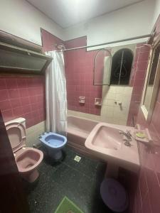 a pink bathroom with a toilet and a sink at Hostel San Vicente in Salta