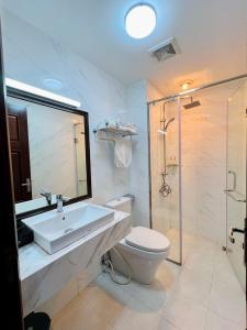 ハノイにあるHanvet Boutique Hotelの洗面台、トイレ、シャワー付きのバスルーム