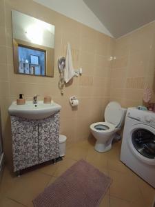 a bathroom with a sink and a toilet and a washing machine at Apartment Nika in Umag