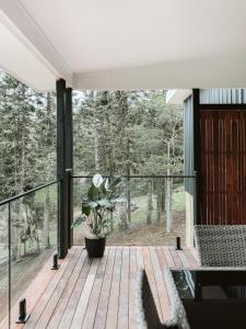 une terrasse en bois avec une plante en pot dessus dans l'établissement Wallaby 3-Bedroom at On Burgum Pond Cottages, à Maleny