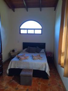 a bedroom with a bed with two people on it at casa-patriana in San Ramón