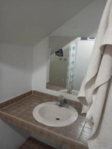 ein Bad mit einem Waschbecken und einem Spiegel in der Unterkunft Amplia casa habitación in Salamanca