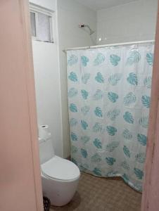 y baño con aseo y cortina de ducha. en Amplia casa habitación, en Salamanca
