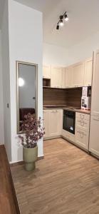 a kitchen with white cabinets and a vase with a plant at Bonvenon2Volme Apt&Room in Pula