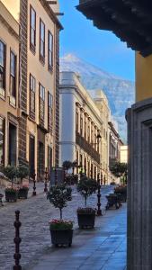 an empty street with potted trees on a city street at PISO AUDITORIO CENTRO LA OROTAVA in La Orotava