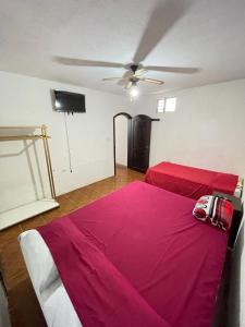 - une chambre avec 2 lits et un ventilateur de plafond dans l'établissement Casa genesis, à Panajachel