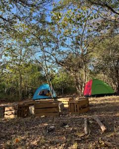zwei Zelte auf einem Feld neben Bäumen in der Unterkunft KARUSIRO FARM AND COUNTRY PARK in Kibaha