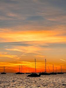 a group of boats in the water at sunset at Alpha - Boat House in Faro