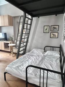 ein Schlafzimmer mit einem Etagenbett mit einer Leiter in der Unterkunft CENTRAL DAINTY in Zagreb