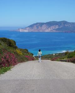 uma pessoa andando por uma estrada olhando para o oceano em B&B Del Viale em Bacu Abis