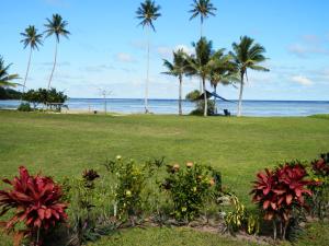 a park with palm trees and a beach with flowers at Sigasiga Sands Boutique Bungalows in Savusavu