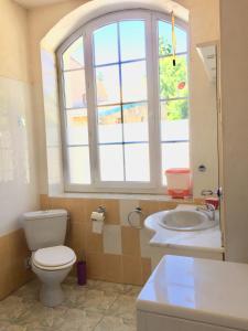 baño con aseo y lavabo y ventana en Les pieds dans l'eau - Gîte de L'olivier - Plage privée, en Blacons