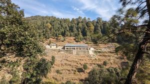 a house on the side of a hill with trees at MudHouse Retreat, Sarajara in Bīr